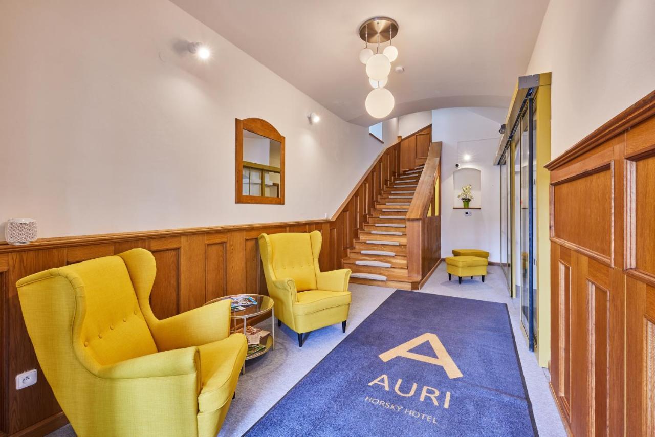 Rudník Hotel Auri المظهر الخارجي الصورة